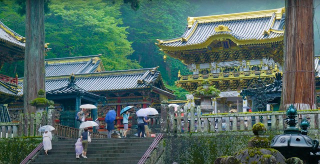 Nikko: Private Sightseeing Tour with UNESCO World Heritage