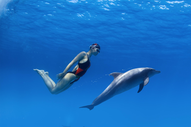 Sharm El-Sheikh: Desert & Waves Adventure / Lunch Option 2 : ( 1 x DBL Parasailing + Banana + Tube )