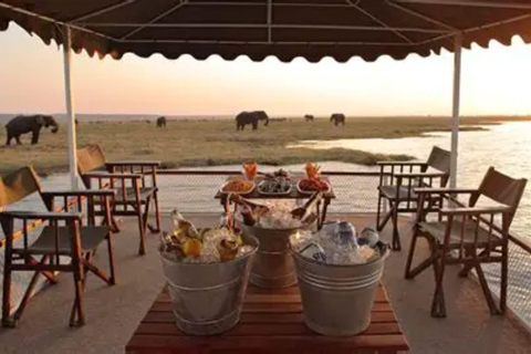 Victoria Falls: Chobe National Park Day Trip with Lunch