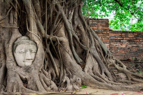 Ayutthaya Countryside and Temple Cycling Tour Thai Lunch