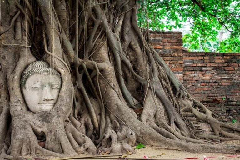 Ayutthaya Countryside and Temple Cycling Tour Thai Lunch