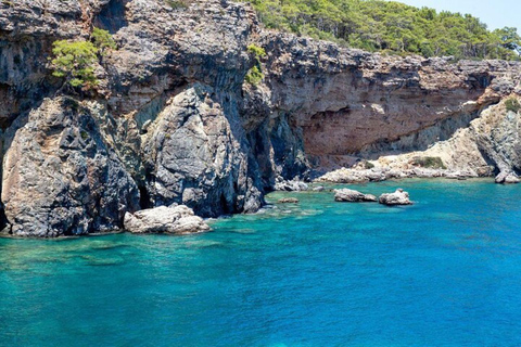 Side: Dolphin Island Boat Trip with Lunch & Swim Stops
