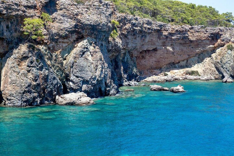 Side: Dolphin Island Boat Trip with Lunch & Swim Stops