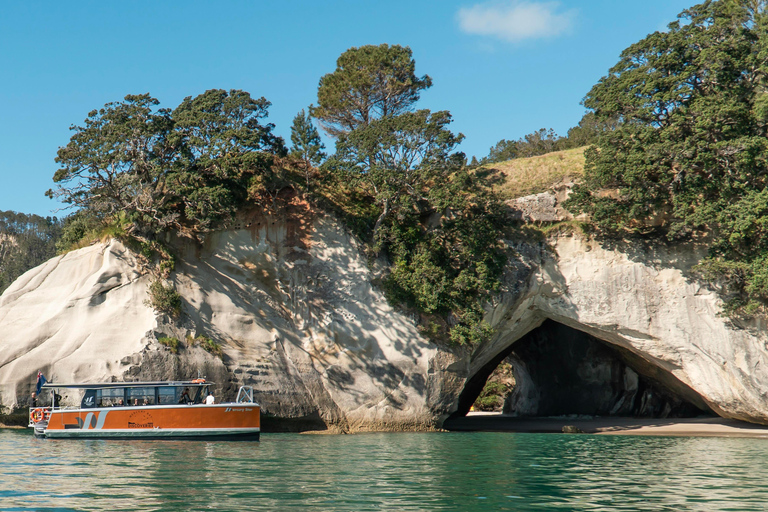 Visite de la côte et des grottes de Cathedral Cove