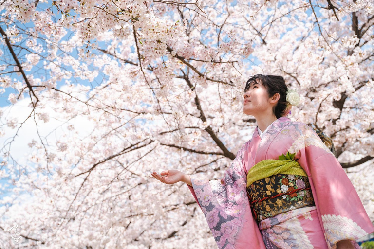 Kanazawa: Private Photoshoot with Professional Photographer Photoshooting