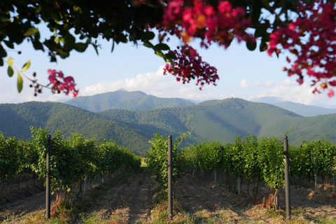 From Tbilisi: Kakheti Wine & Culture Day Tour with Tastings