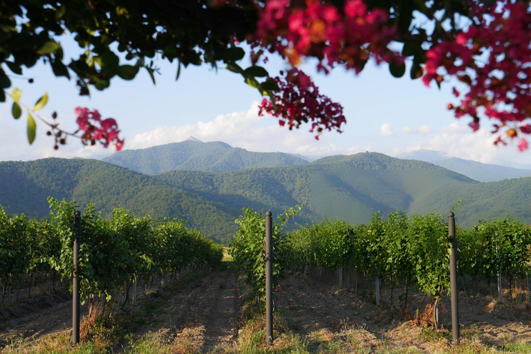 From Tbilisi: Kakheti Wine & Culture Day Tour with Tastings