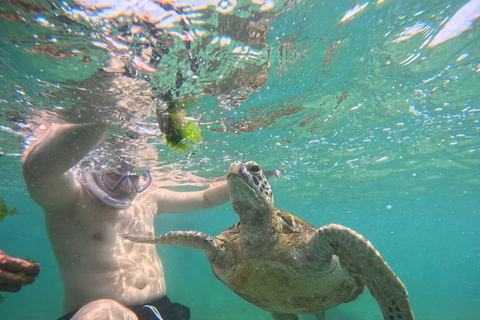 Mirissa Snorkeling Tour with Turtle Adventure and Free Video
