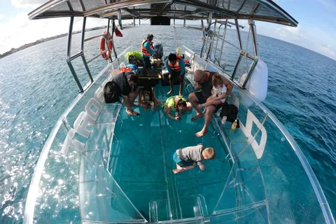 Cozumel : Tour en bateau invisible pour la plongée avec tuba