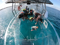 Aventura invisible de buceo en bote en Cozumel - Housity