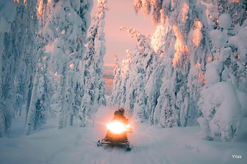 Ylläs: Schneemobil-Safari zum Waldkota mit einem Familienunternehmen