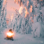 Ylläs: Schneemobil-Safari zum Waldkota mit einem Familienunternehmen