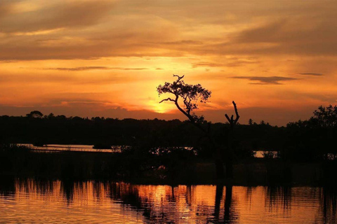 From Galle/Mirissa: Kalametiya Bird Sanctuary Boat Safari Hambantota: Kalametiya Bird Sanctuary Boat Safari-Private