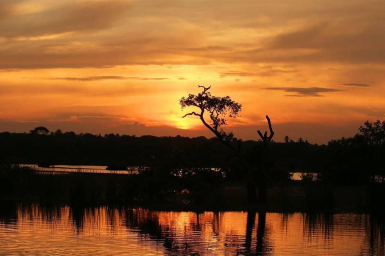 From Galle/Mirissa: Kalametiya Bird Sanctuary Boat Safari Hambantota: Kalametiya Bird Sanctuary Boat Safari-Private
