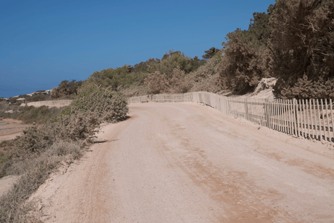 Ibiza: Formentera Cruise with Paella, Open Bar & Swim Stop