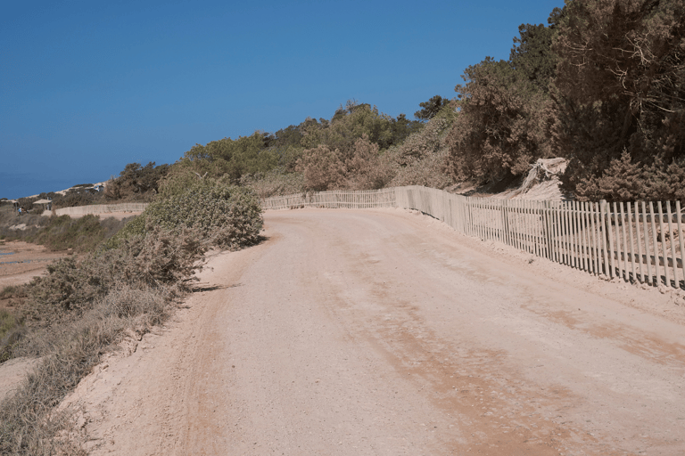 Ibiza: Formentera Cruise with Paella, Open Bar & Swim Stop