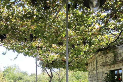 Chania: Kreteńskie wino, oliwa z oliwek i warsztaty kulinarne