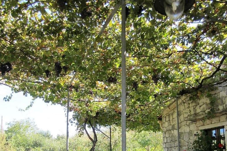 Chania: Kreteńskie wino, oliwa z oliwek i warsztaty kulinarne