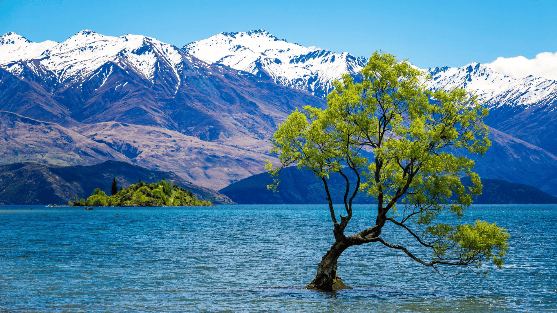 Queenstown: Privater Tagestour nach Wanaka, Arrowtown und mehr