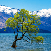 Queenstown: Private Day Trip to Wanaka, Arrowtown & More