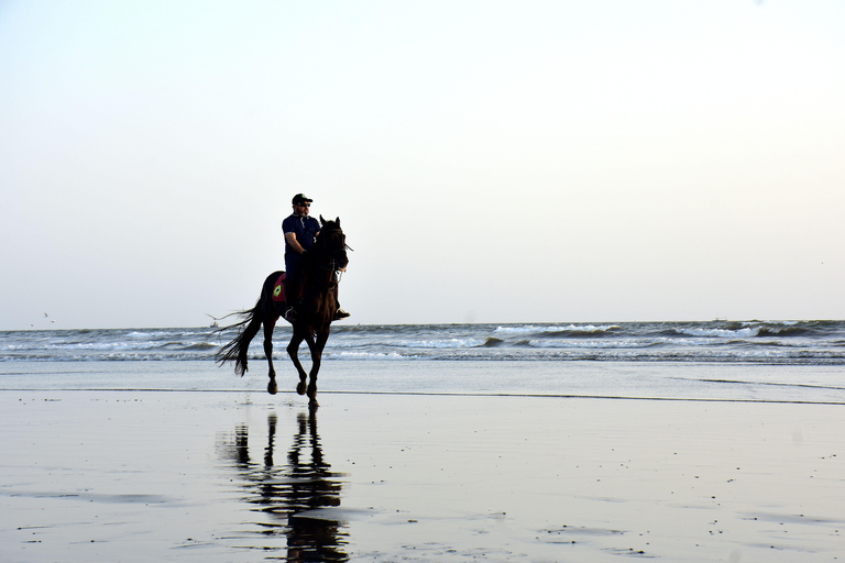 Negril: Beach HorseRide Experience with Free Photos & Videos