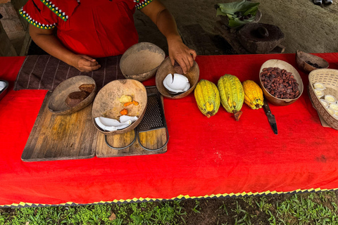 Bocas del Toro: Isla Cristóbal Cacao Farm Tour with Lunch