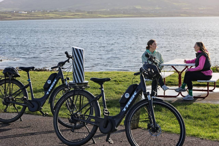 Belfast: E-Bike Rental Belfast: E-Bike Rental (Full Day)