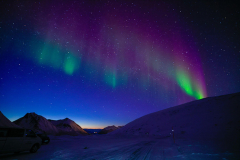 Tromsö: Norrskenstur med fotografering (kinesiska)