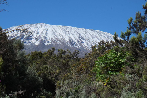 Mount Kilimanjaro een dagwandeling naar het basiskamp voor een kleine groep