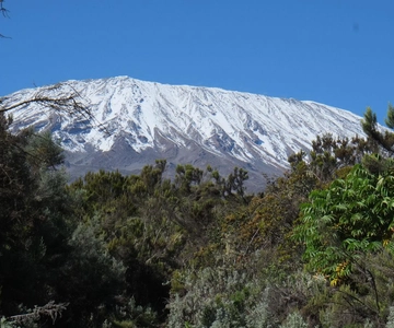 Escursione di un giorno sul Monte Kilimanjaro al campo base per piccoli gruppi