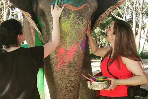 Incantevole viaggio a Jaipur con il Santuario degli Elefanti