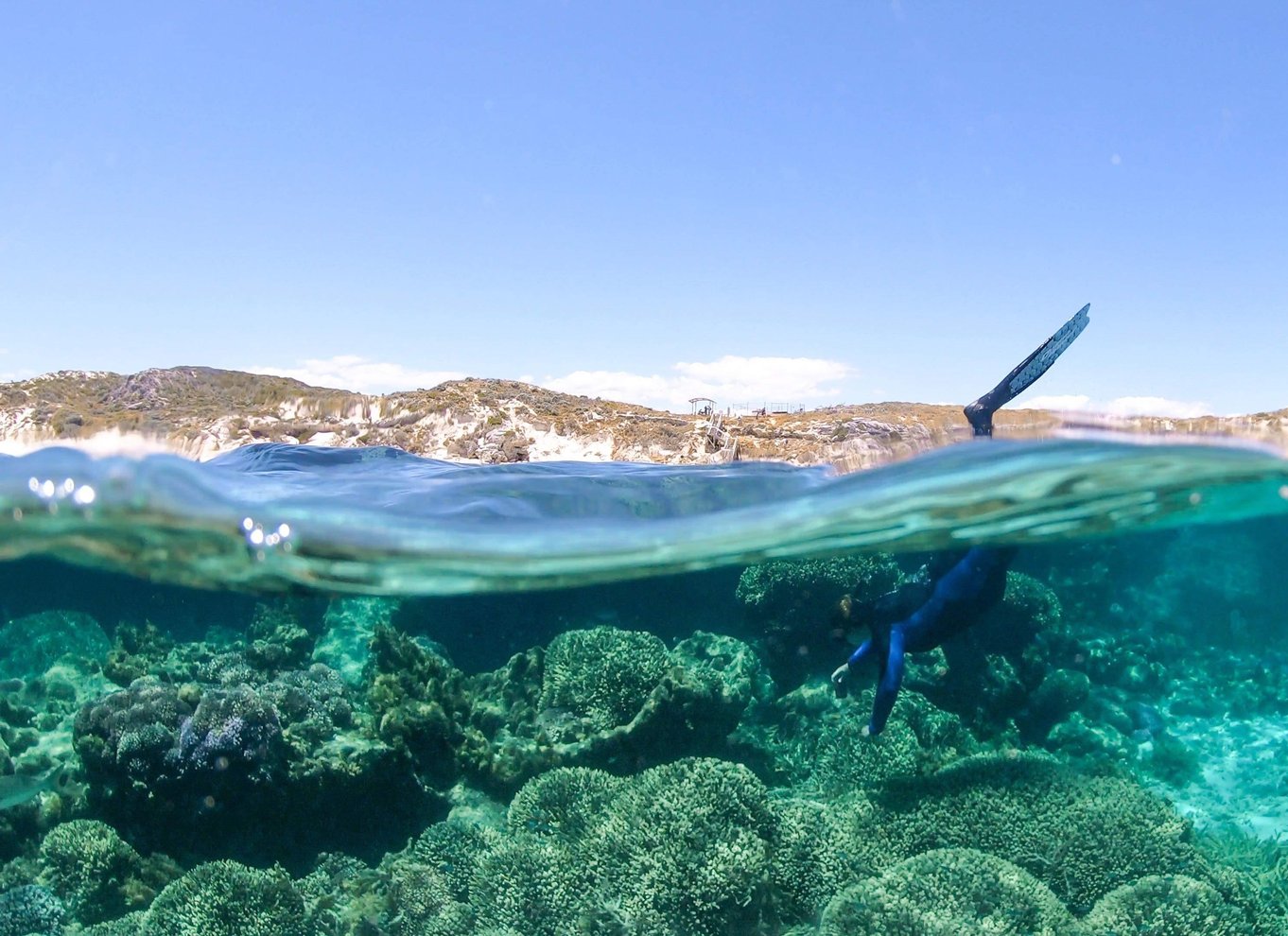 Dunsborough: Geographe Bay Eco & Snorkel bådtur