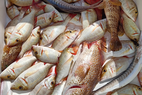 Dubai: Pesca en alta mar 4 horas de aventura