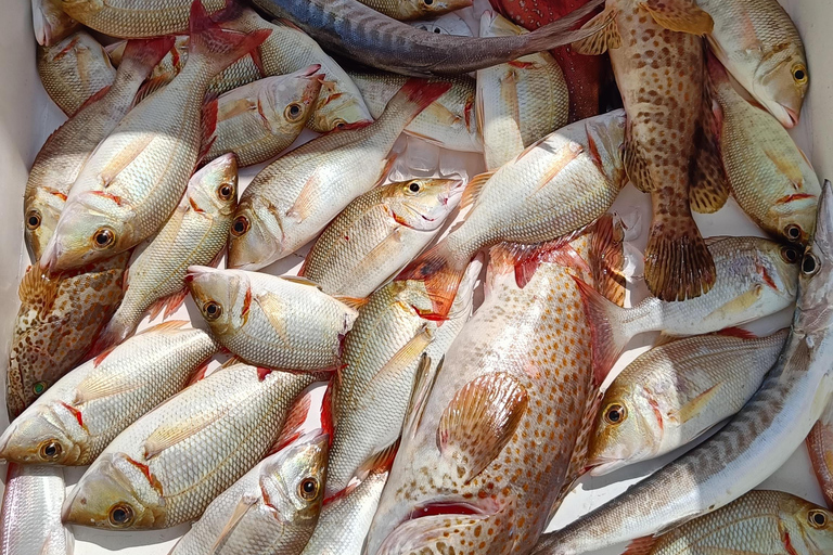 Dubai: Pesca en alta mar 4 horas de aventura