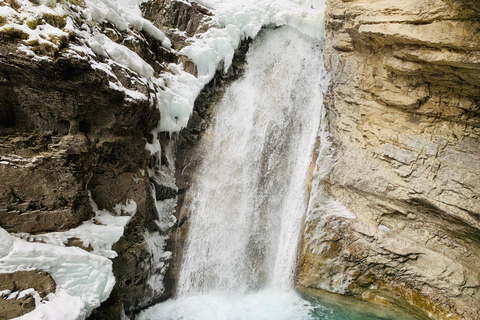 Banff: Privé Lake Louise &amp; Johnston Canyon dagtour