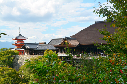 Z Osaki: Jednodniowa wycieczka z przewodnikiem do Kioto i Nara