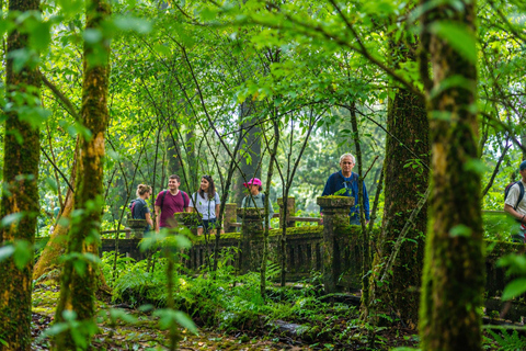 Chiang Mai: Doi Inthanon National Park Waterfalls & Pagodas