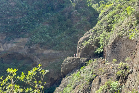 Tenerife: Anaga Hidden Gems Tour with Free Pickup Explore Anaga's hidden gem. Private tour.