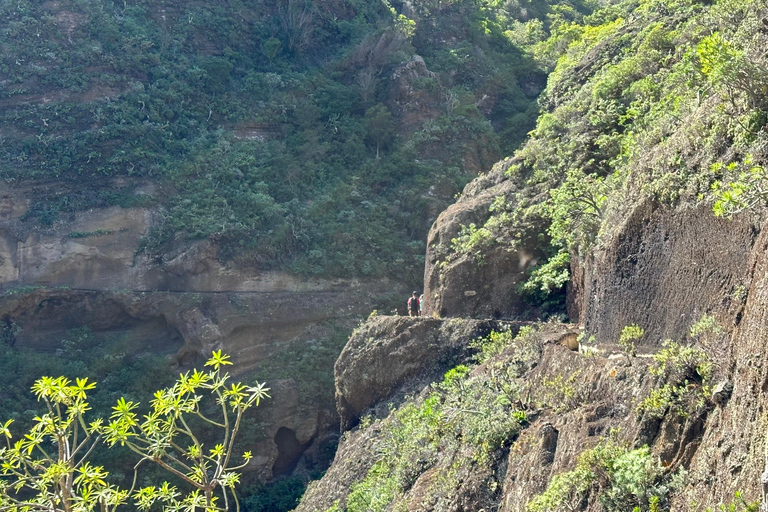 Tenerife: Anaga Hidden Gems Tour with Free Pickup Explore Anaga's hidden gem. Private tour.