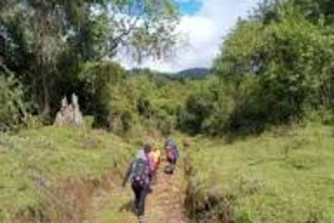 Nairobi: Kipipiri Bamboo Forest Hike with Transfer