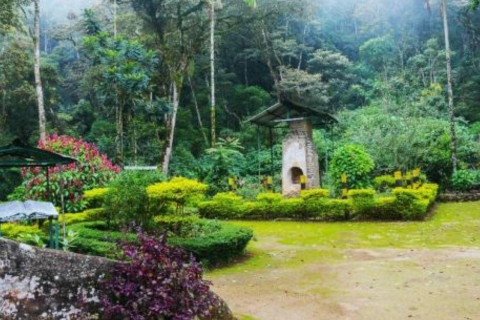 James Taylor's Enchanting Tea Story Tour from Kandy