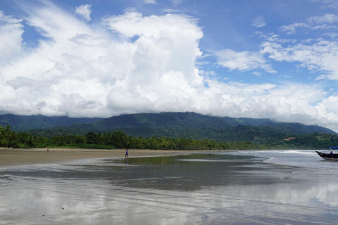 Costa Rica: Tour particular para observação de golfinhos e baleias em Uvita