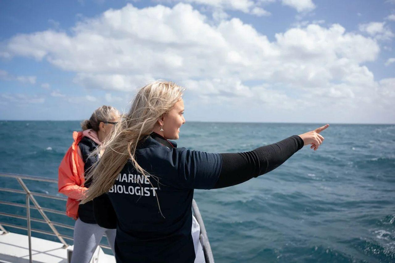 Perth: Whale Watching Cruise from Hillarys Boat Harbour