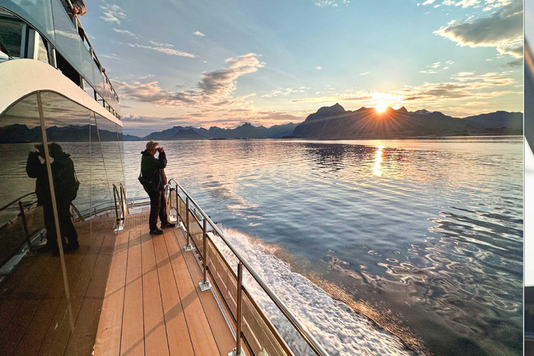 Tromsø: Summer Arctic Light Cruise with a Guide Tromsø: Midnight Sun or Sunset Cruise with a Guide