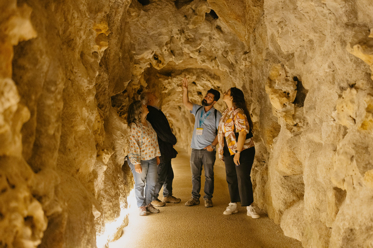 Sintra: Biglietto d'ingresso per Quinta da Regaleira e tour guidatoTour in portoghese