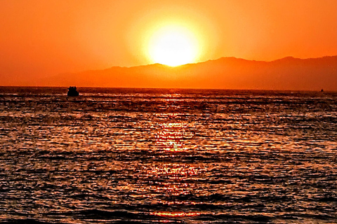 لوس أنجلوس رقم 1: رحلة بحرية فاخرة على متن قارب - نبيذ وجبن وأسود البحرجولة الفريق