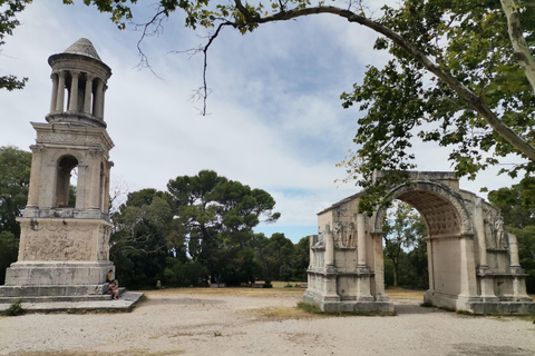 Baux e Saint Rémy de Provence: Storia, vino e paesaggiTour di mezza giornata e di 6 ore a Baux de Provence