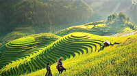 Sapa 1-Day trekking to Lao Chai-Ta van village - Housity