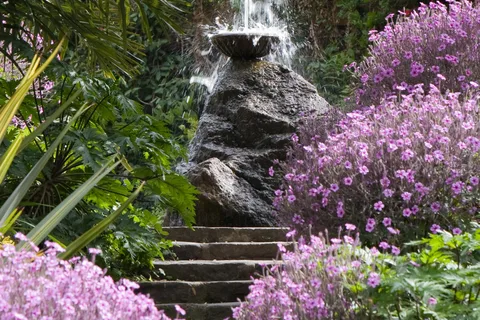 Desde Nápoles: Ischia, excursión de un día a los Jardines de La Mortella con almuerzo