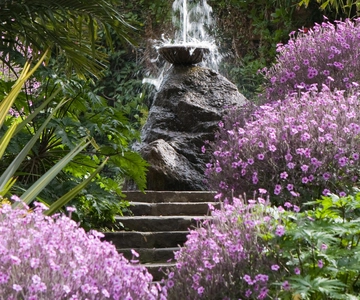 De Nápoles: Ischia, viagem de 1 dia aos jardins de La Mortella com almoço